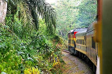 Railway journey through the lush jungles of Panama